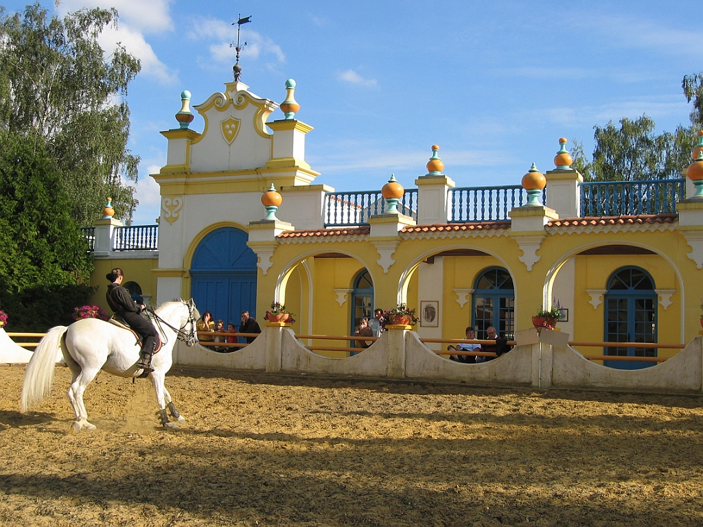 Dressage cheval 04.jpg